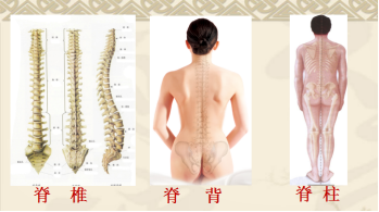 1613539867150743.png 图片3.png